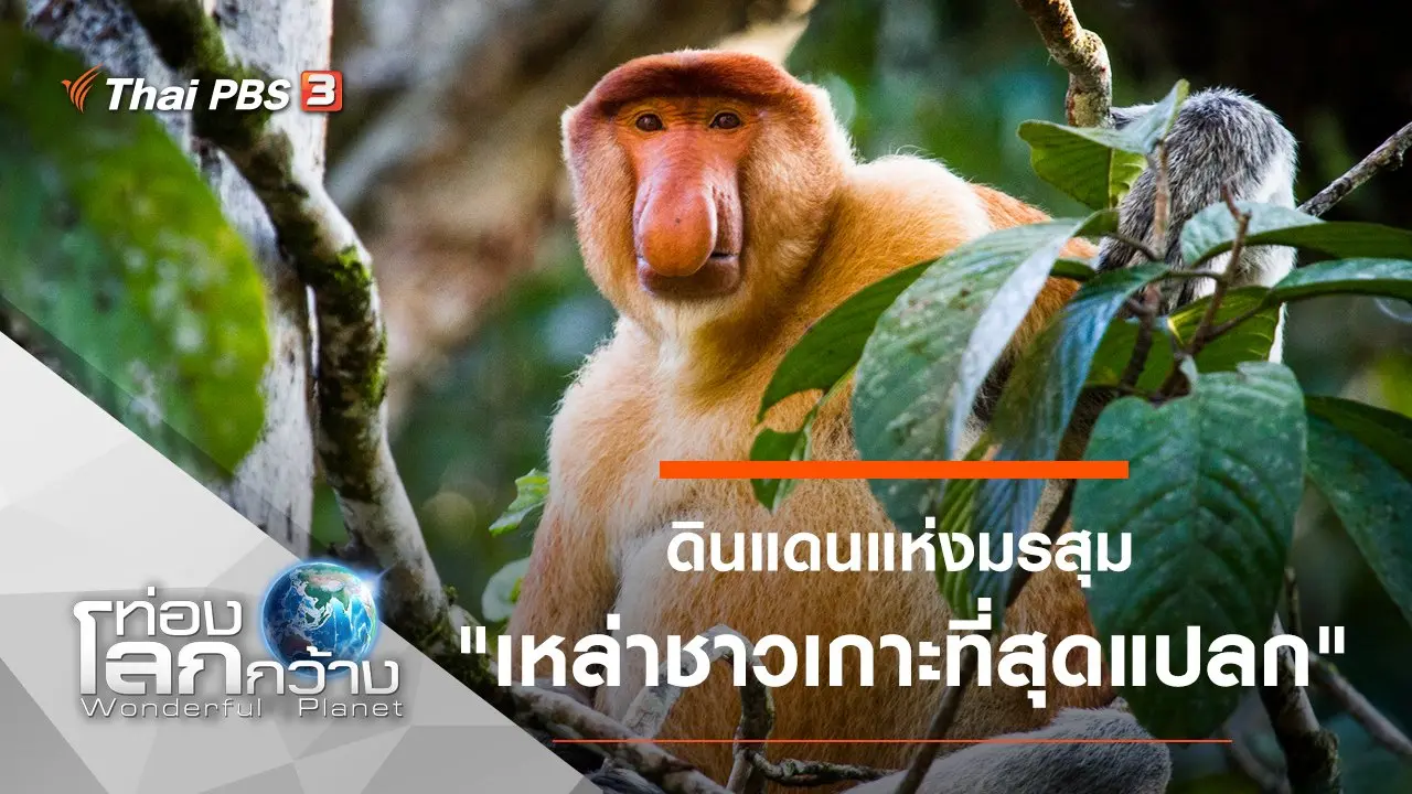 ดินแดนแห่งมรสุม ตอน เหล่าชาวเกาะที่สุดแปลก