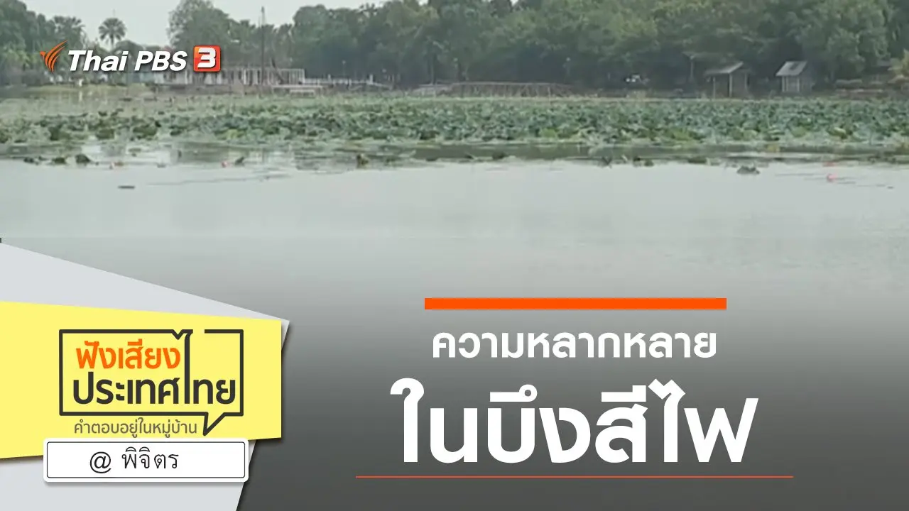 Online first Ep.79 ความหลากหลายในบึงสีไฟ