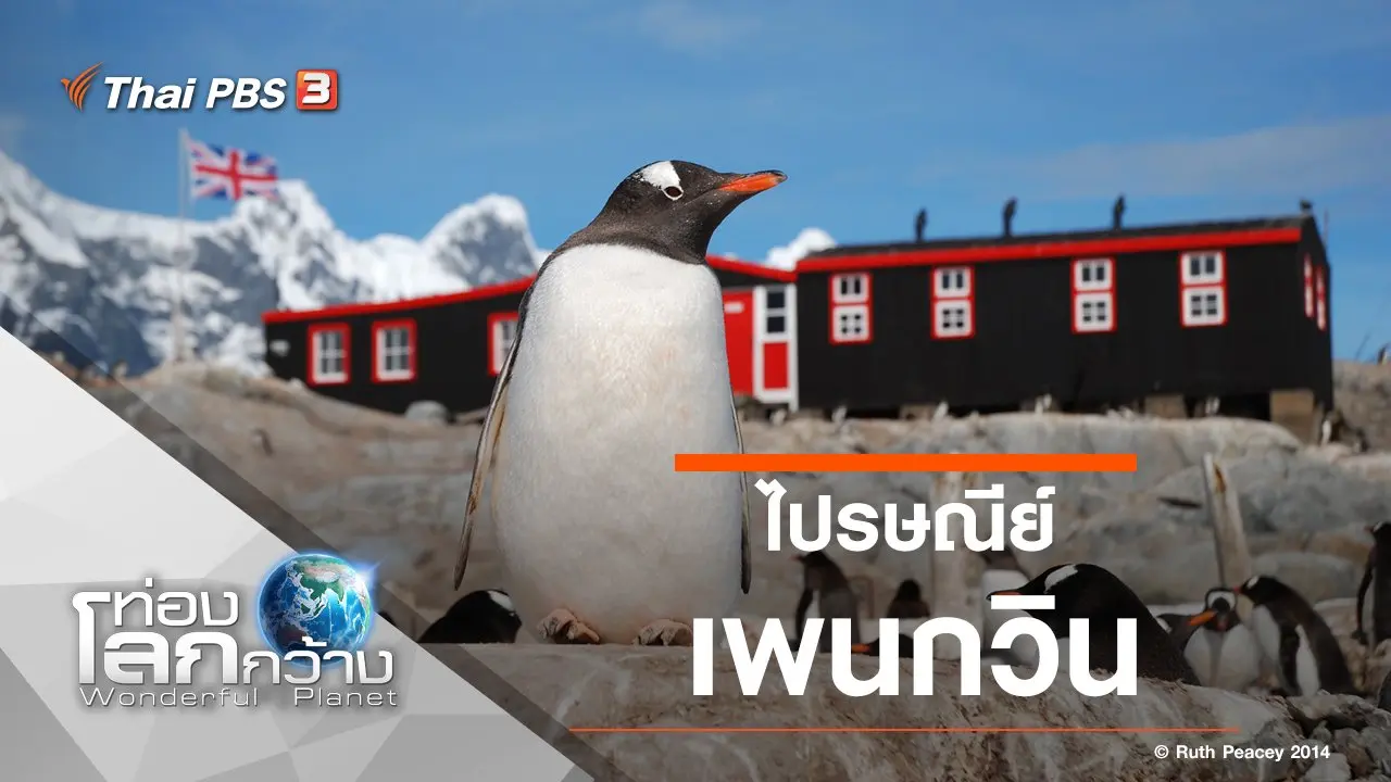 ไปรษณีย์เพนกวิน