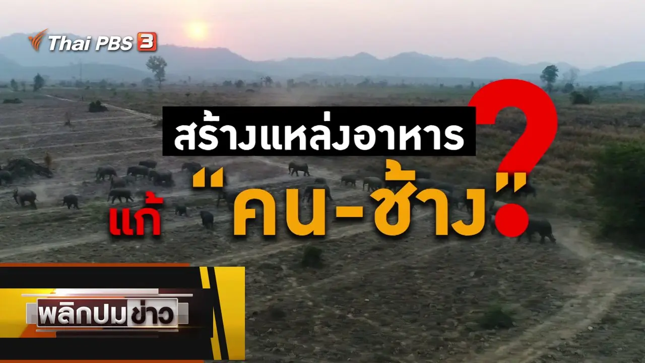 พลิกปมข่าว