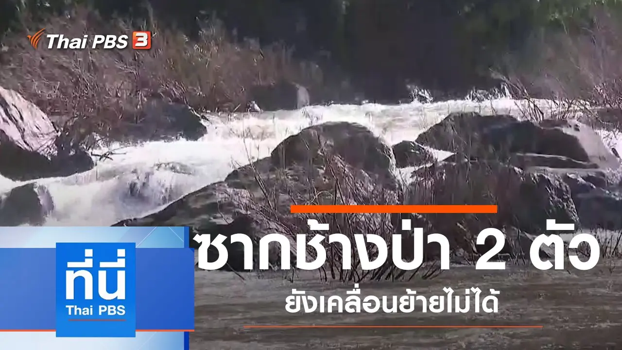 ประเด็นข่าว (9 ต.ค. 62)