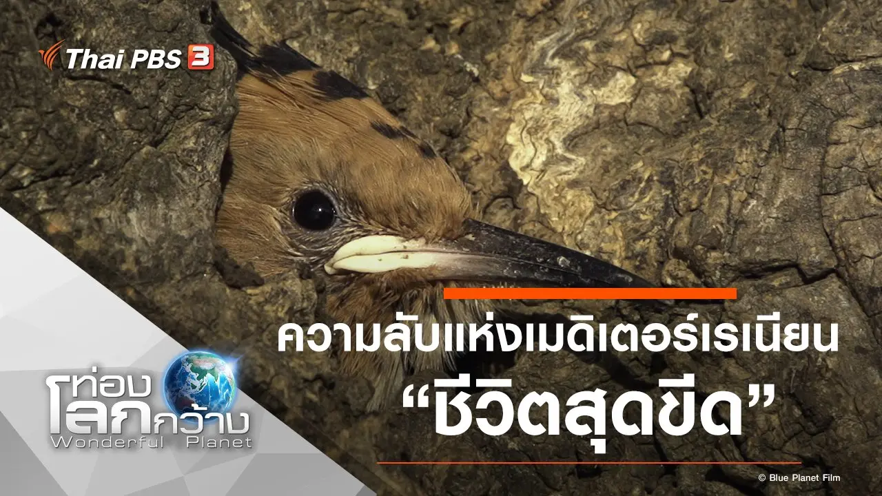 ความลับแห่งเมดิเตอร์เรเนียน ตอน ชีวิตสุดขีด