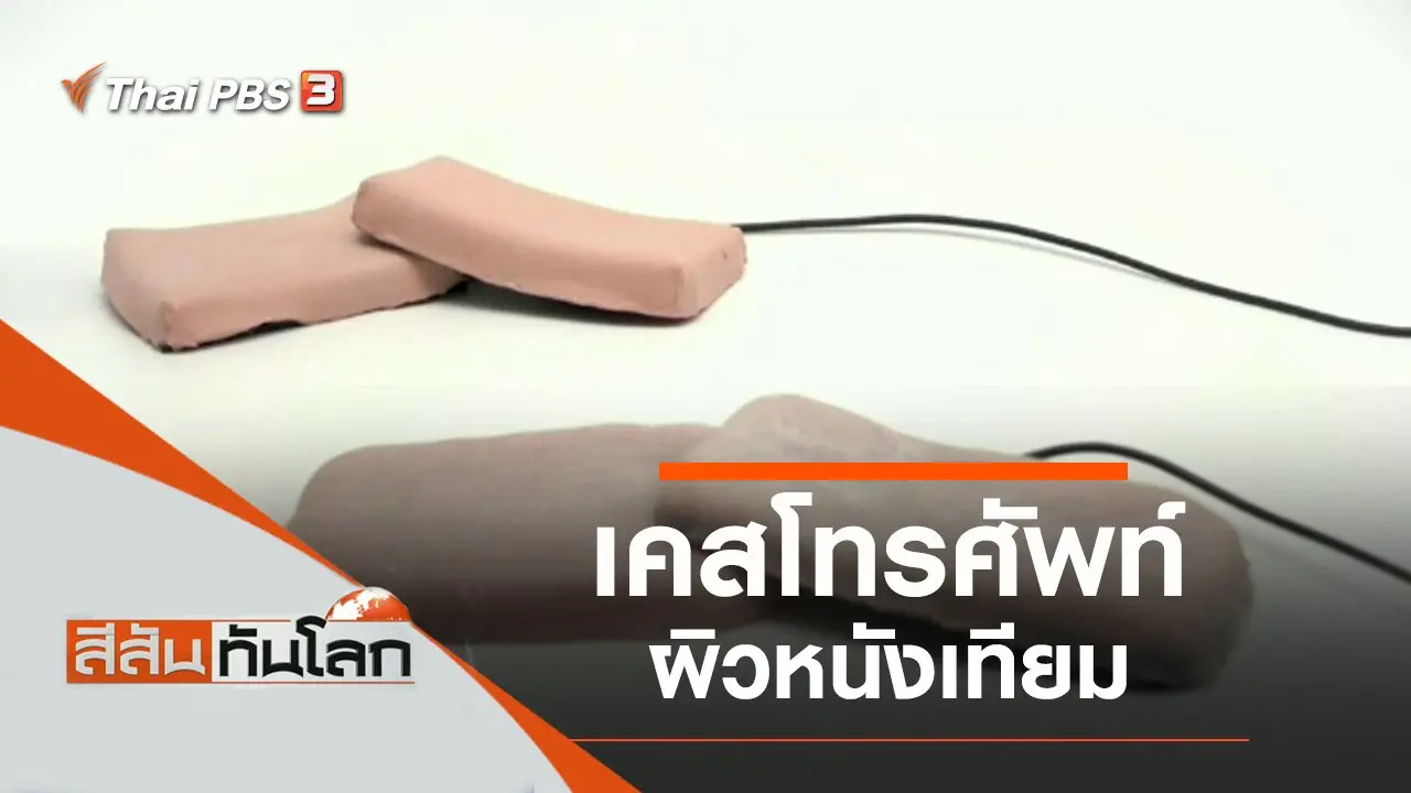 สีสันทันโลก