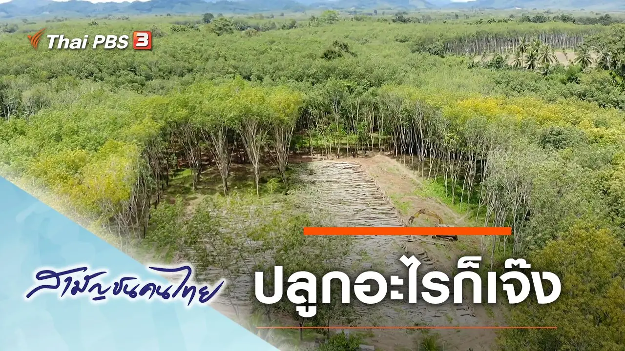 ปลูกอะไรก็เจ๊ง