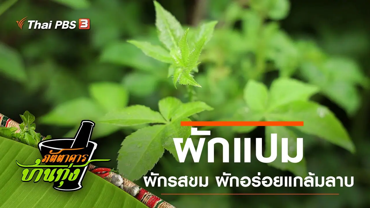 ผักแปม