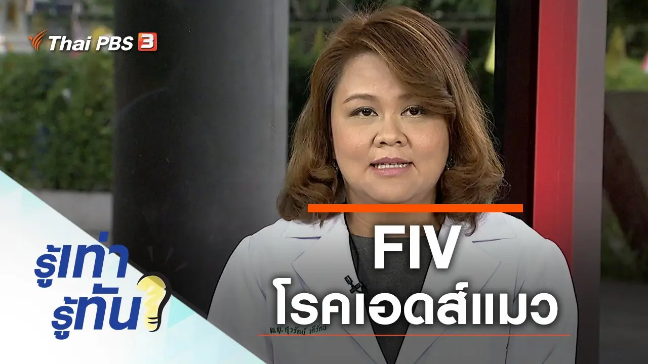FIV โรคเอดส์แมว