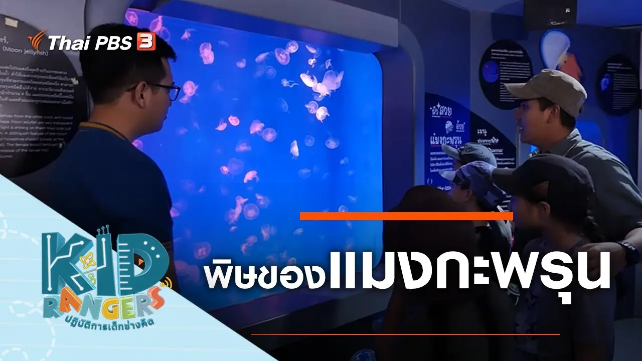 พิษของแมงกะพรุน