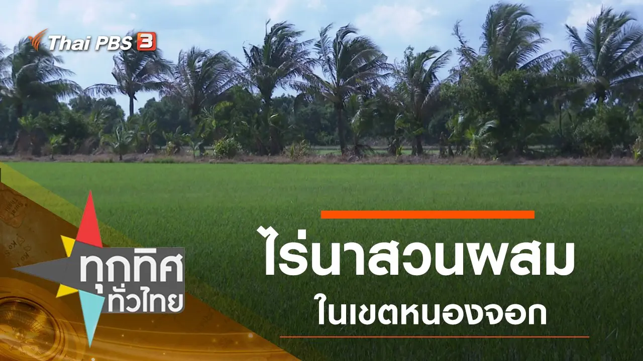 ทุกทิศทั่วไทย