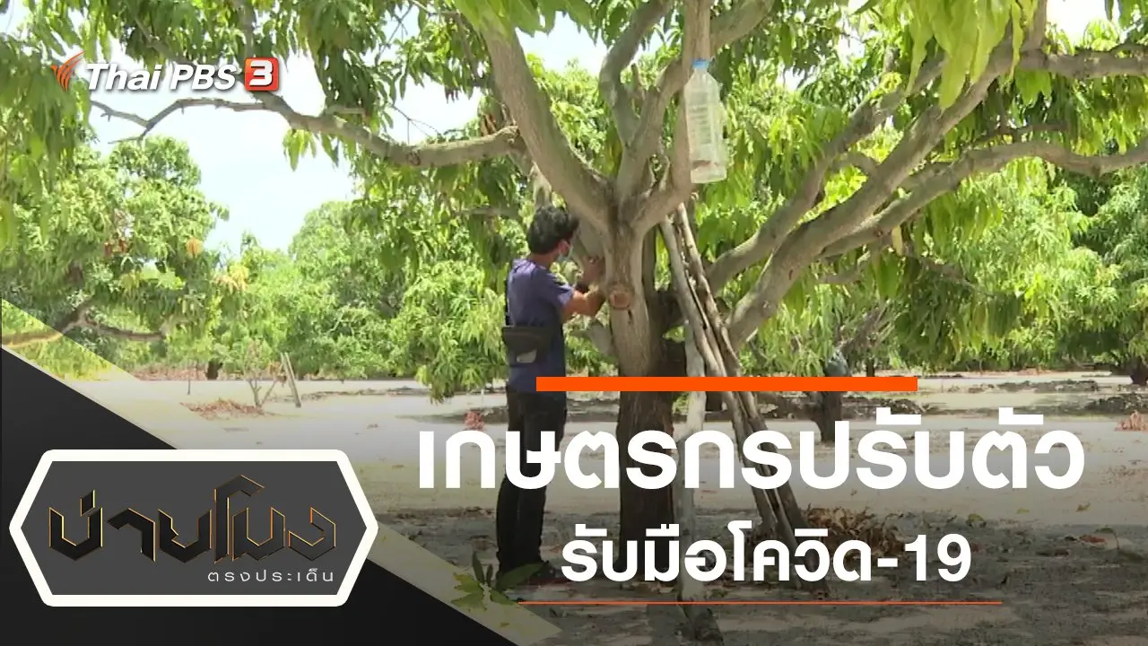 ประเด็นข่าว (8 มิ.ย. 63)