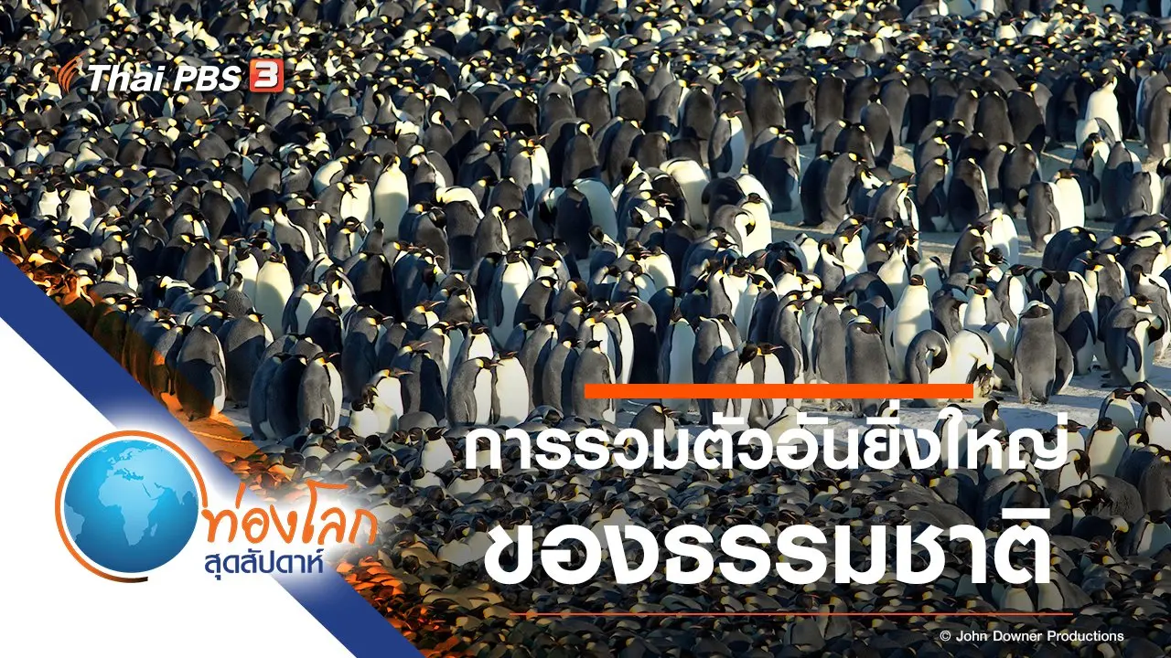 การรวมตัวอันยิ่งใหญ่ของธรรมชาติ