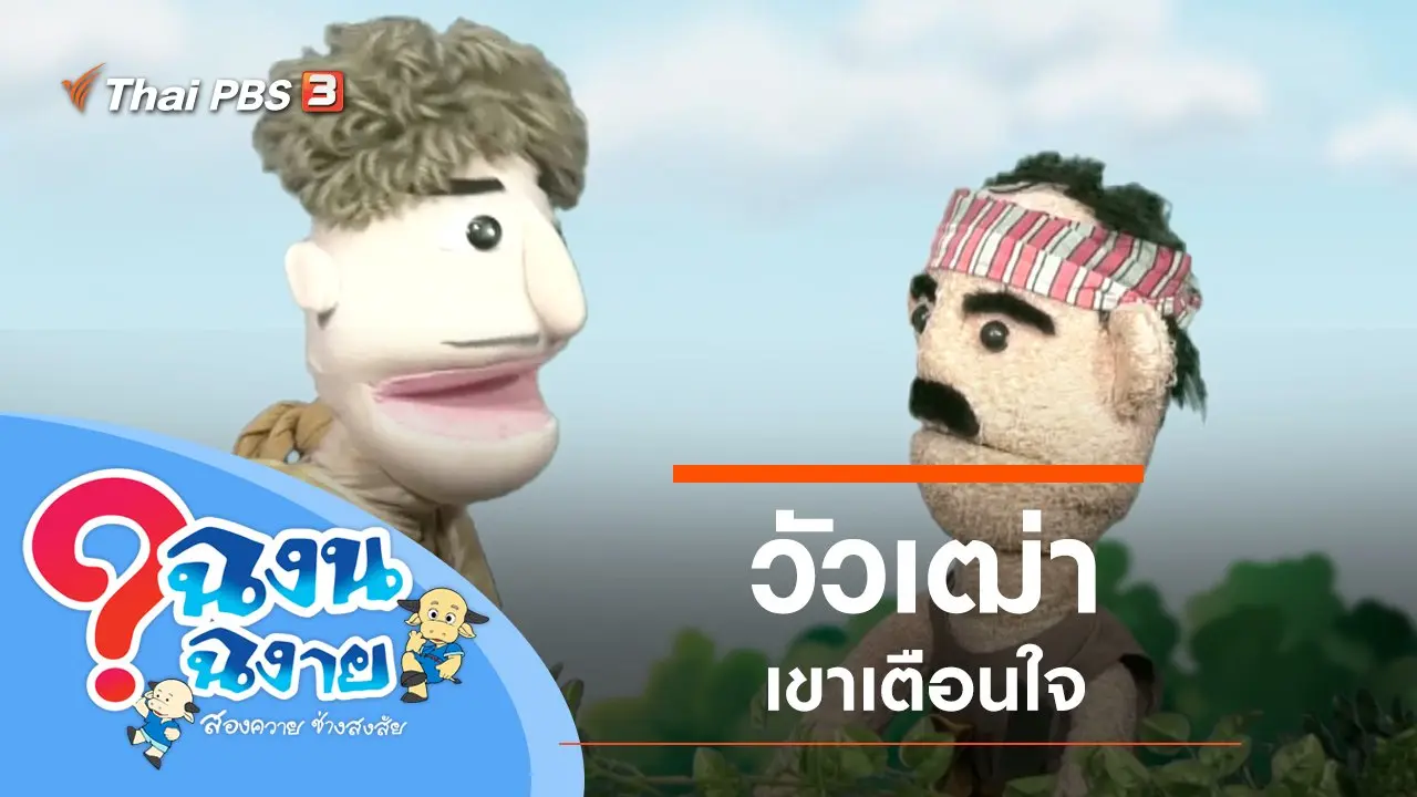 วัวเฒ่า เขาเตือนใจ