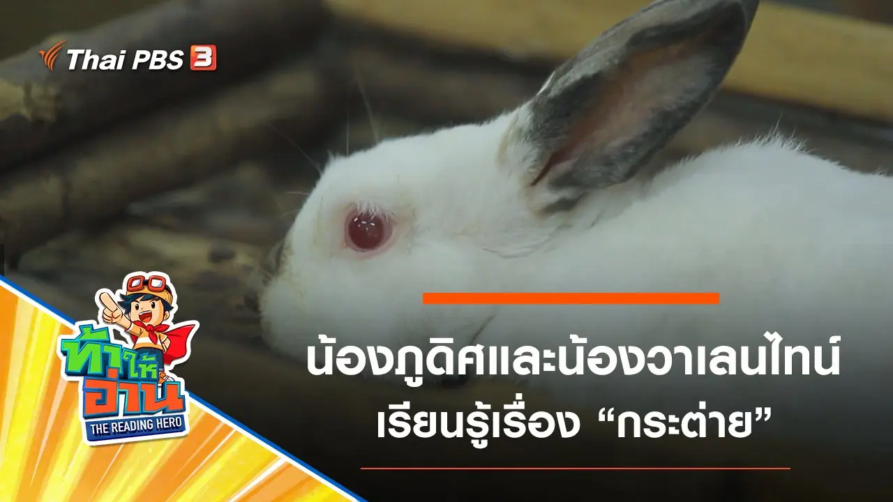 กระต่าย : น้องภูดิศและน้องวาเลนไทน์