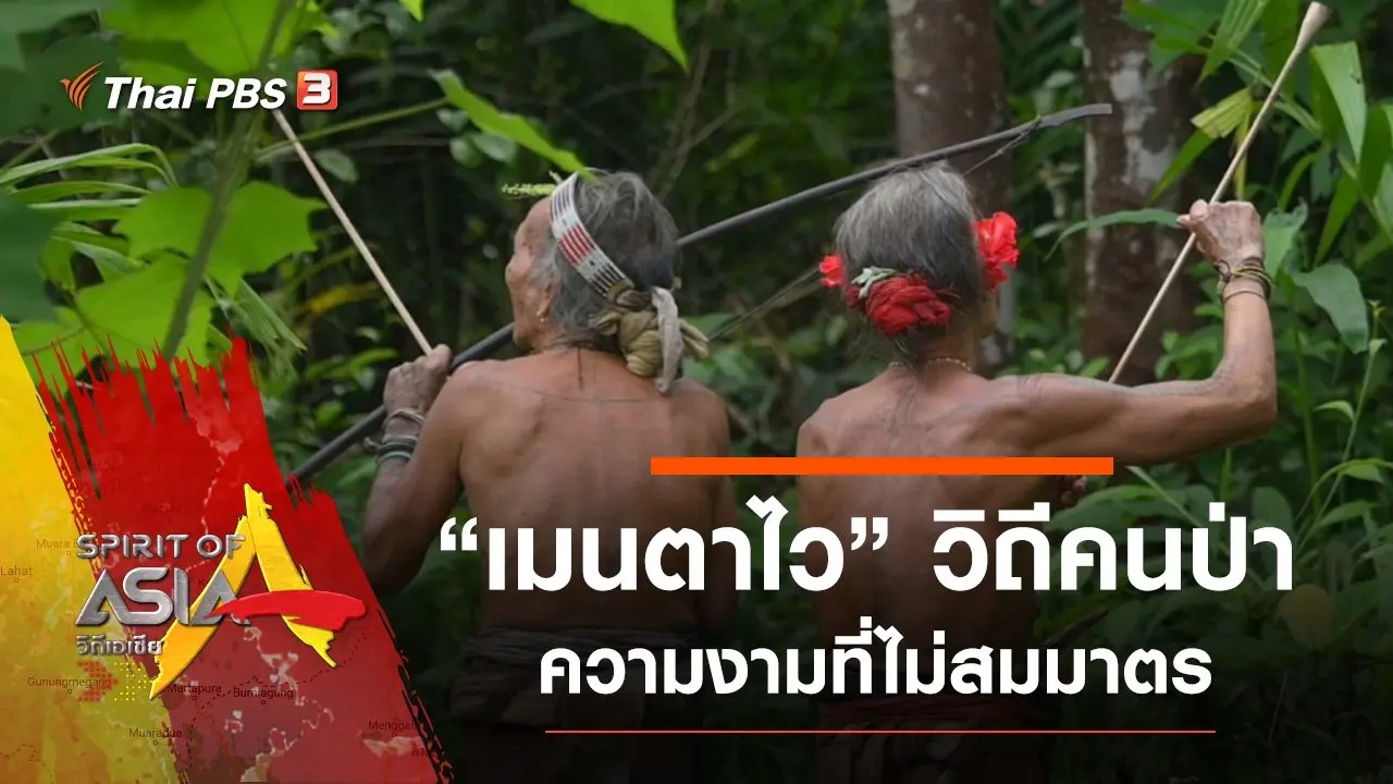 เมนตาไว วิถีคนป่าความงามที่ไม่สมมาตร