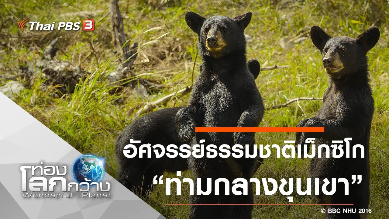 อัศจรรย์ธรรมชาติเม็กซิโก ตอน ท่ามกลางขุนเขา