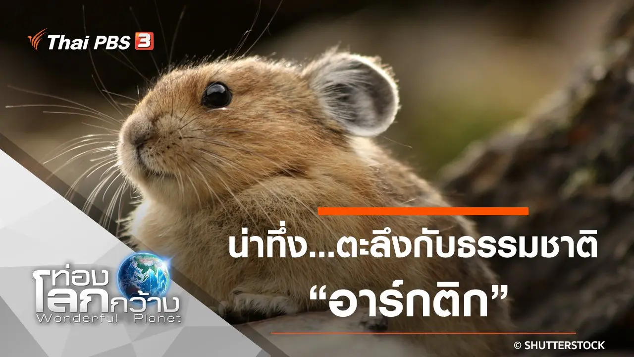 น่าทึ่ง...ตะลึงกับธรรมชาติ ตอน อาร์กติก และเยลโลว์สโตน