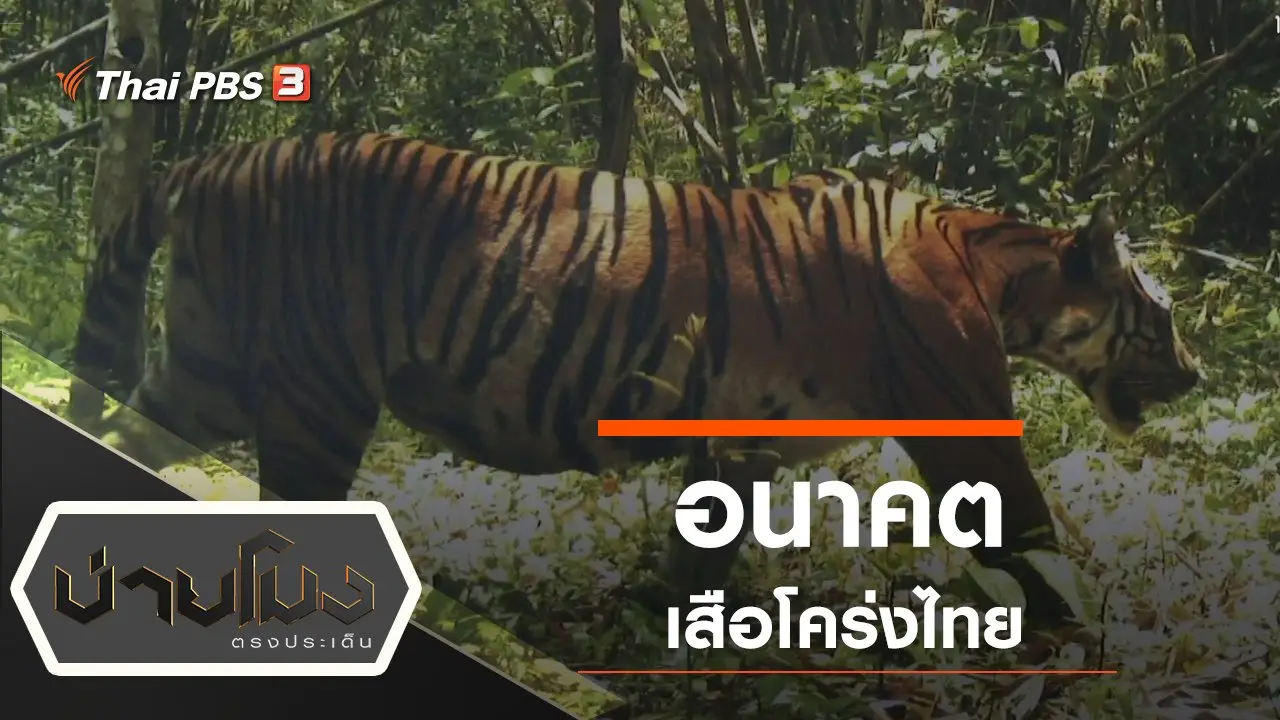 ประเด็นข่าว (29 ก.ค. 63)