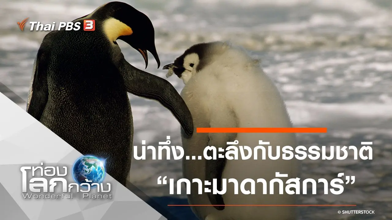 น่าทึ่ง...ตะลึงกับธรรมชาติ ตอน เกาะมาดากัสการ์ และเพนกวิน