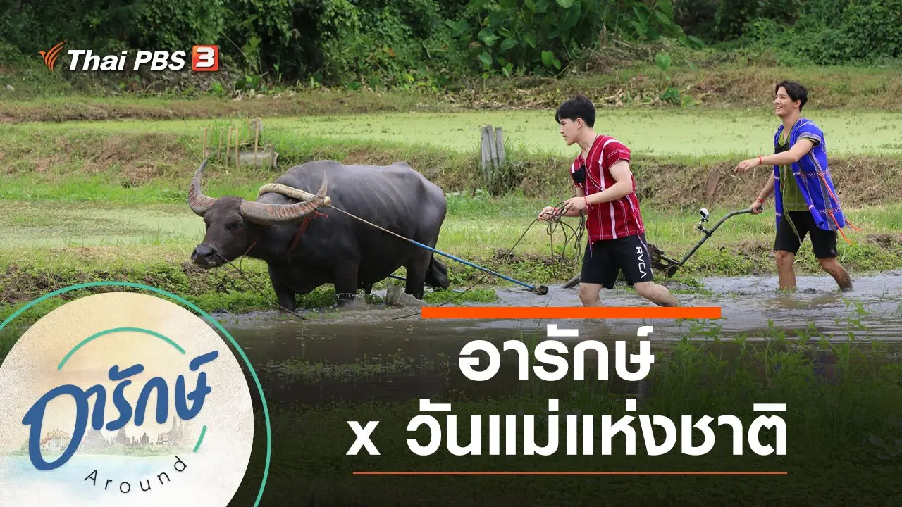 อารักษ์ x วันแม่แห่งชาติ