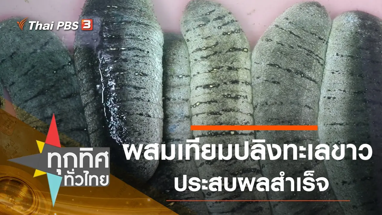 ทุกทิศทั่วไทย