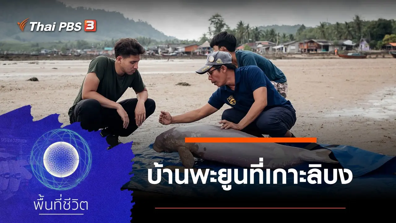 บ้านพะยูนที่เกาะลิบง