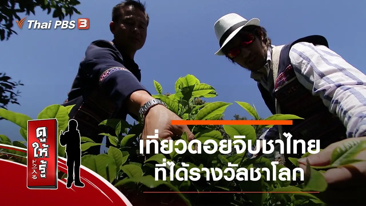 เที่ยวดอยจิบชาไทยที่ได้รางวัลชาโลก