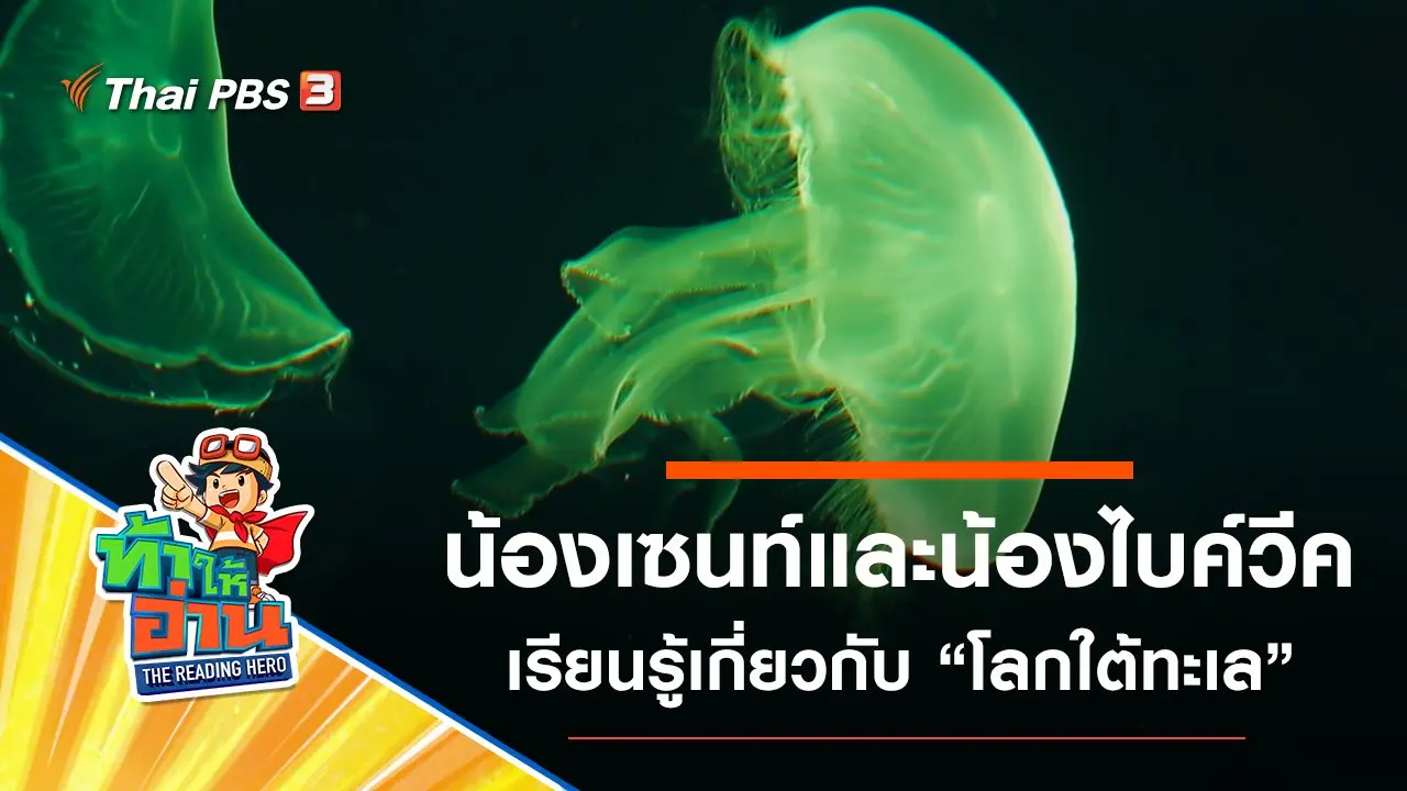 โลกใต้ทะเล : น้องเซนท์และน้องไบค์วีค
