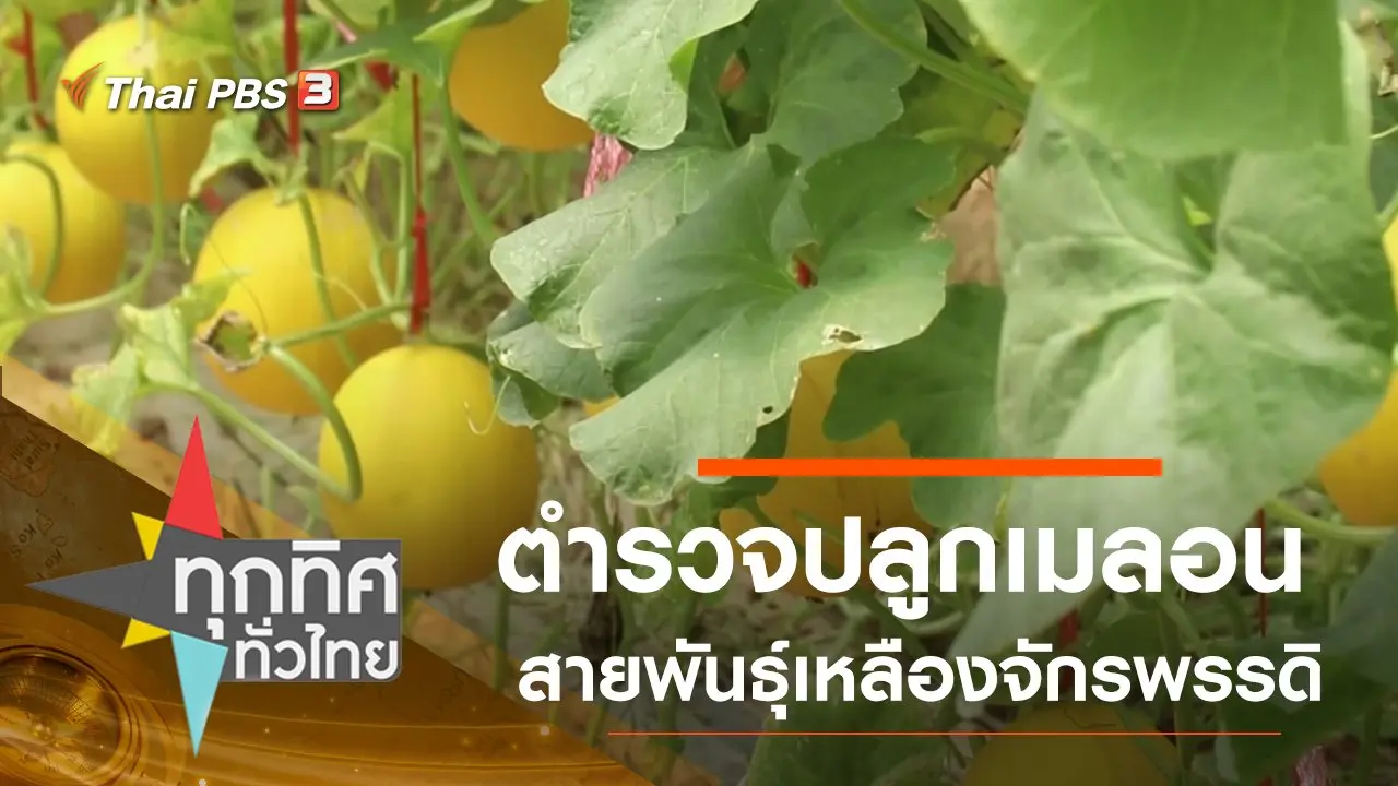 ทุกทิศทั่วไทย