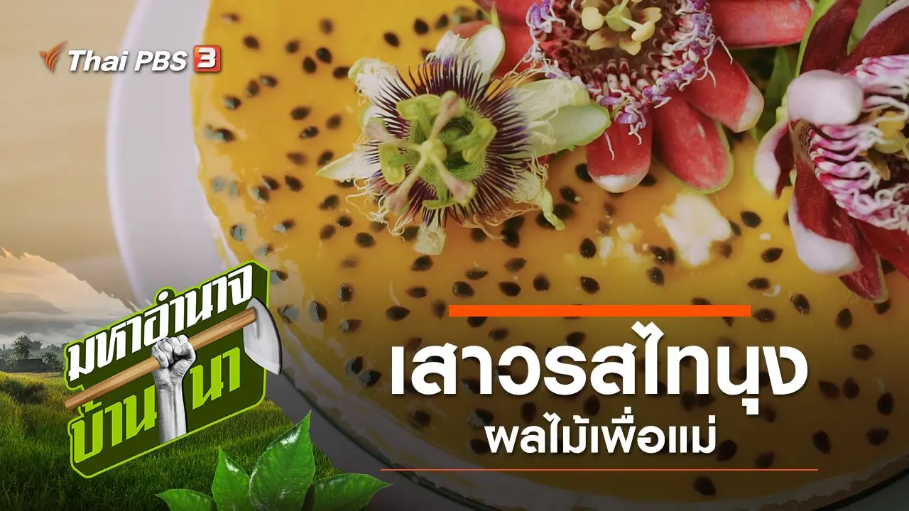 เสาวรสไทนุง ผลไม้เพื่อแม่
