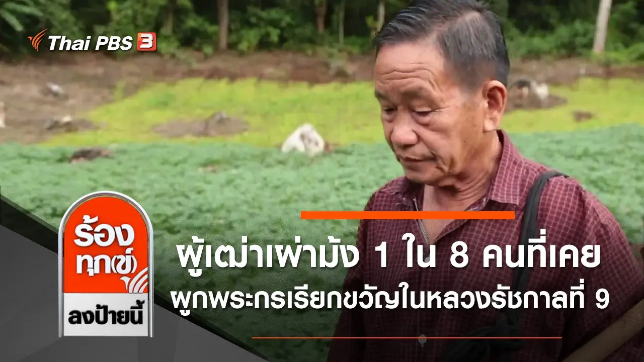 ผู้เฒ่าเผ่าม้ง 1 ใน 8 คนที่เคยผูกพระกรเรียกขวัญในหลวงรัชกาลที่ 9