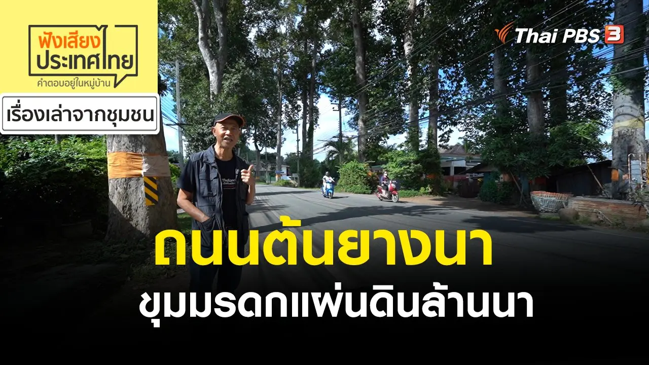 ถนนต้นยางนา ขุมมรดกแผ่นดินล้านนา