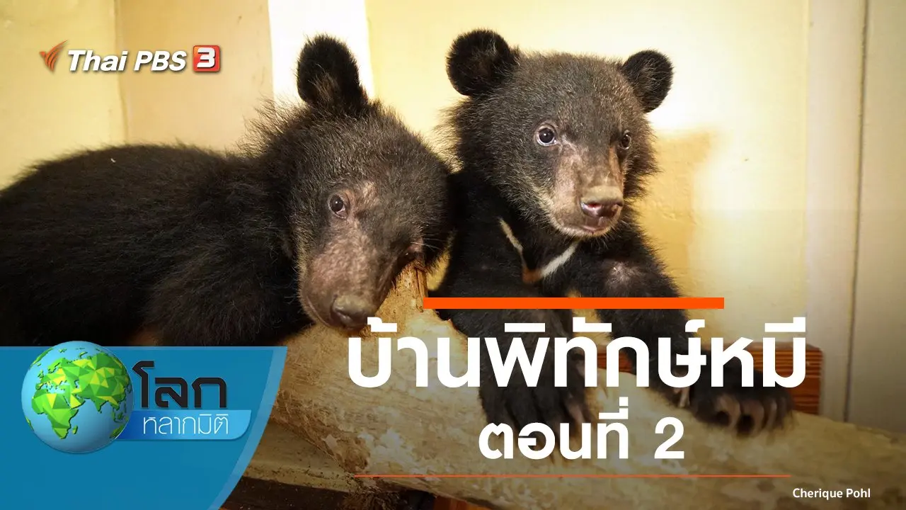 บ้านพิทักษ์หมี ตอนที่ 2