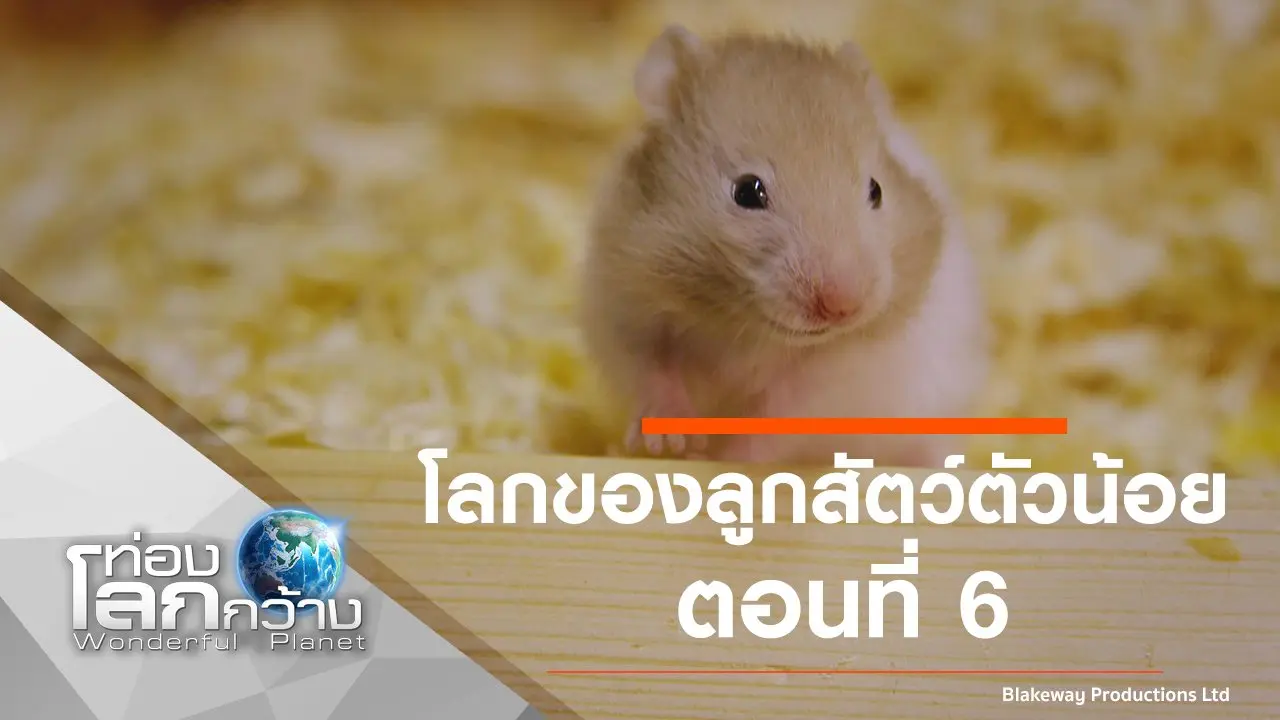 โลกของลูกสัตว์ตัวน้อย ตอนที่ 6