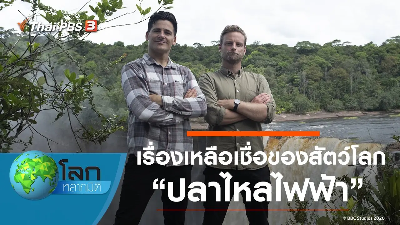 เรื่องเหลือเชื่อของสัตว์โลก ตอน ปลาไหลไฟฟ้า