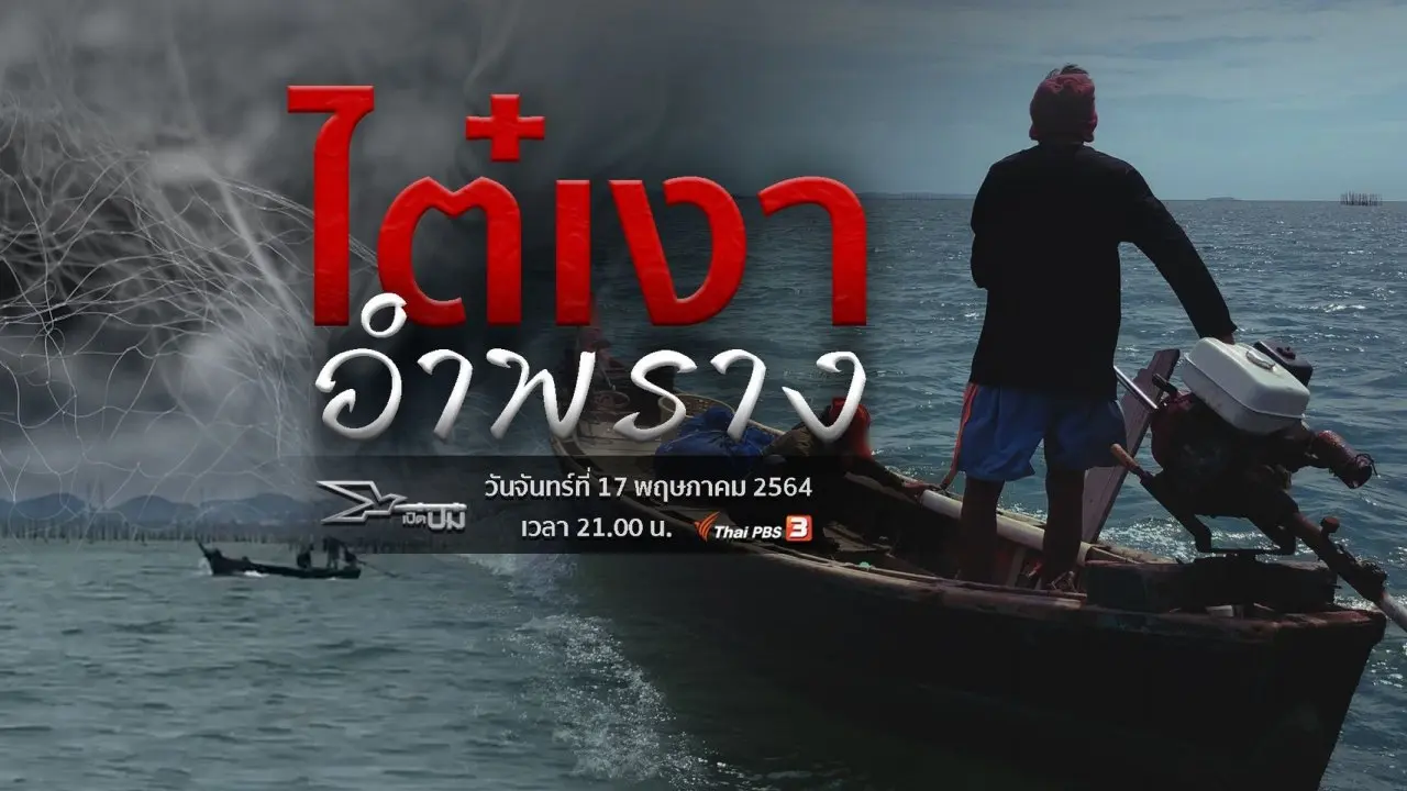 ไต๋เงาอำพราง