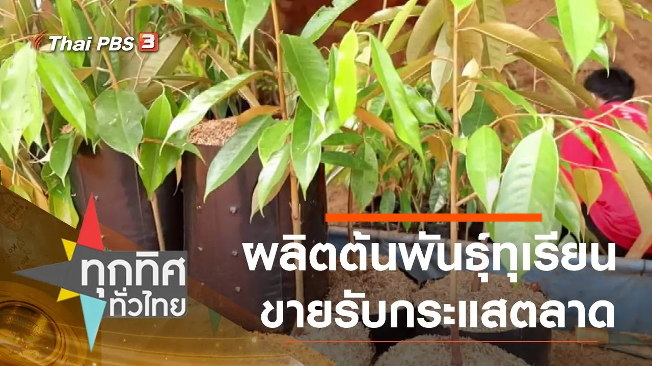 ทุกทิศทั่วไทย