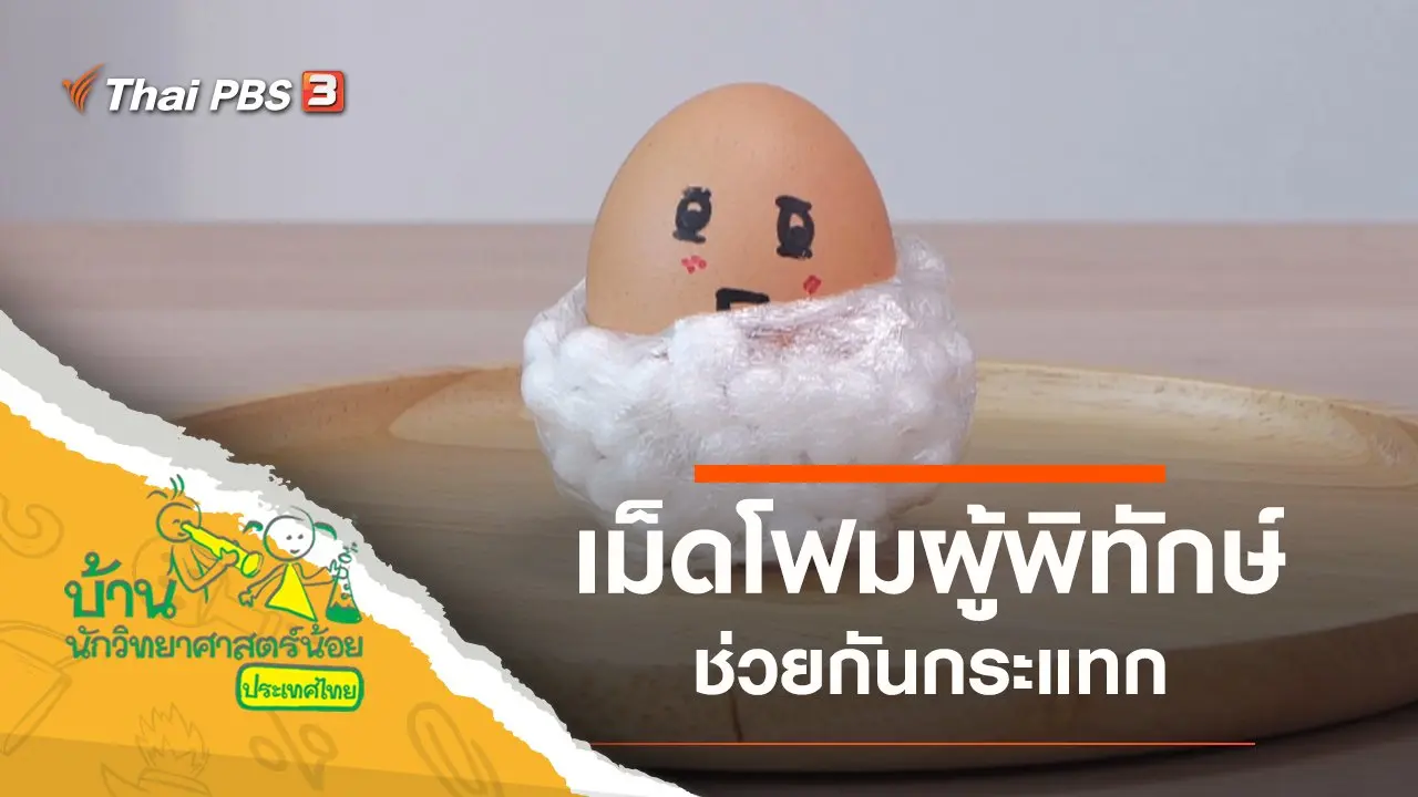 เม็ดโฟมผู้พิทักษ์