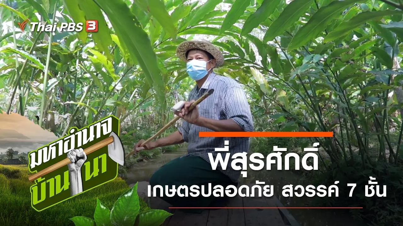 พี่สุรศักดิ์ เกษตรปลอดภัย สวรรค์ 7 ชั้น