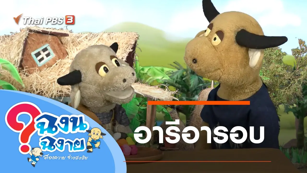 อารีอารอบ