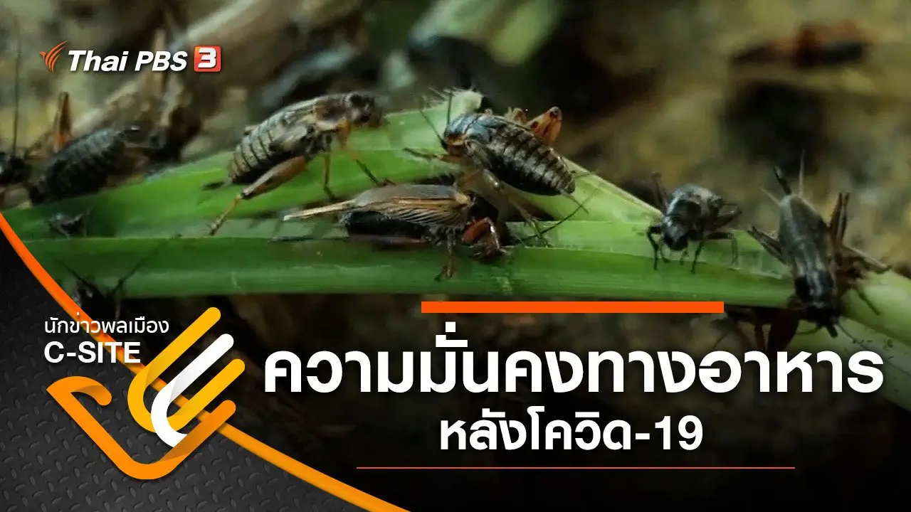 ความมั่นคงทางอาหาร หลังโควิด-19