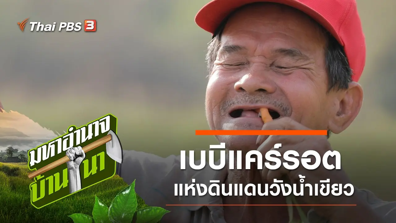 เบบีแคร์รอต แห่งดินแดนวังน้ำเขียว