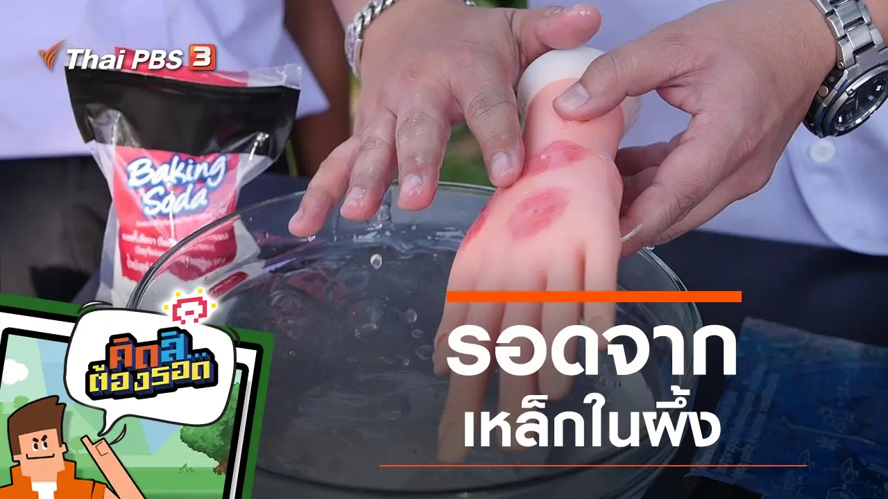 รอดจากเหล็กในผึ้ง
