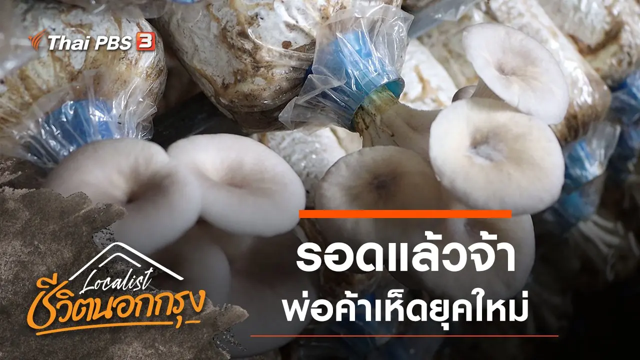 รอดแล้วจ้า พ่อค้าเห็ดยุคใหม่