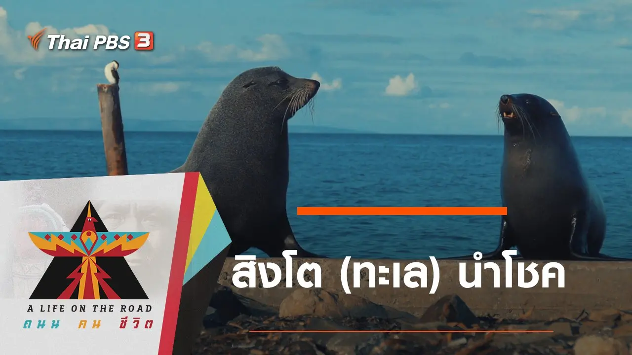 สิงโต (ทะเล) นำโชค