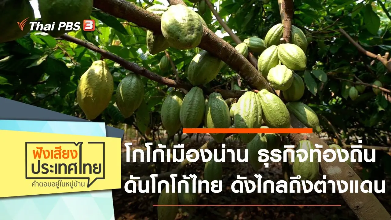 โกโก้เมืองน่าน ธุรกิจท้องถิ่น ดันโกโก้ไทย ดังไกลถึงต่างแดน ด้วยปณิธาน "เราจะเติบโตไปพร้อมกับชุมชน"