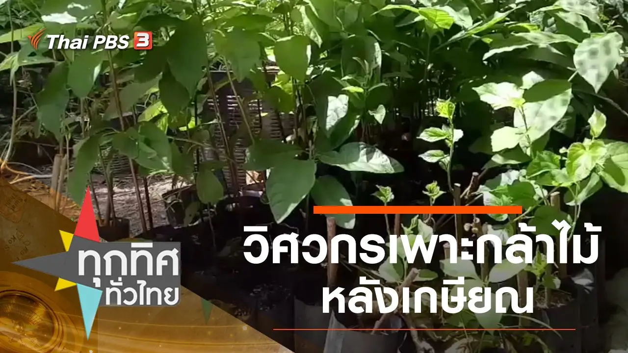 ทุกทิศทั่วไทย