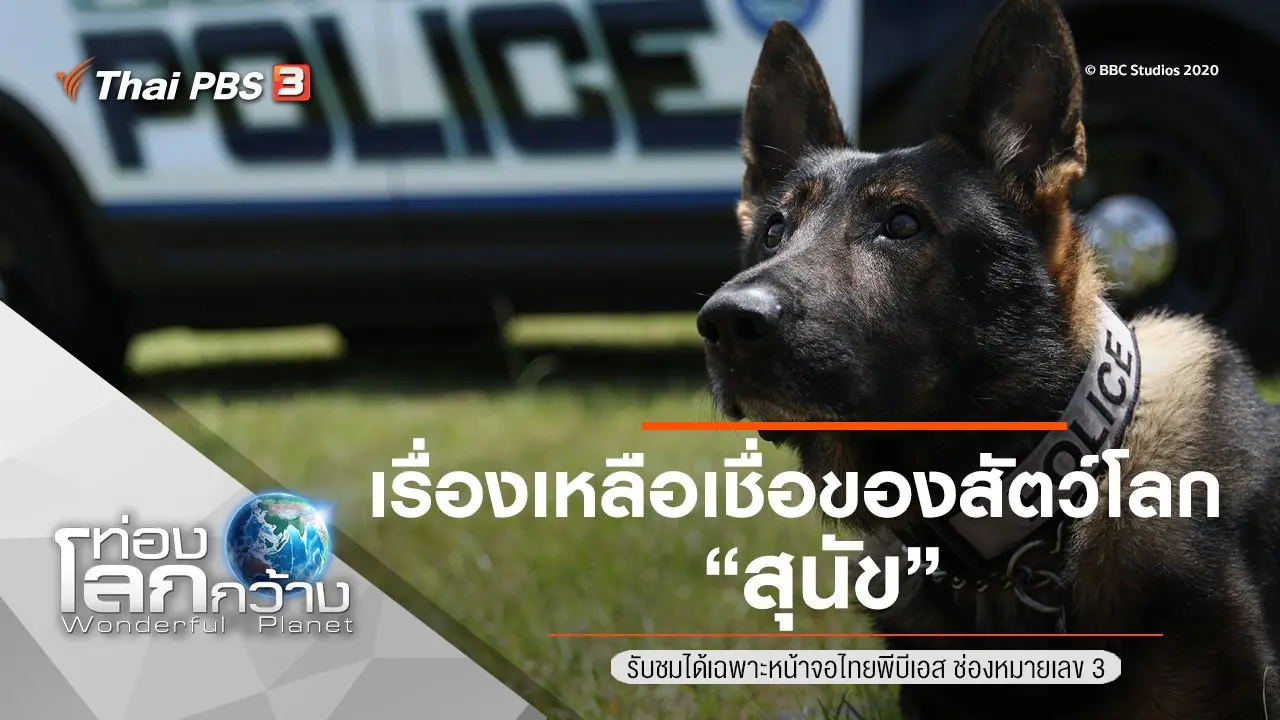 เรื่องเหลือเชื่อของสัตว์โลก ตอน สุนัข