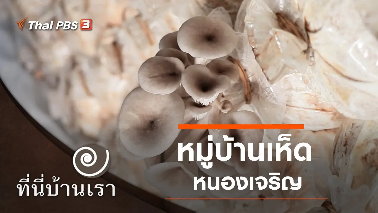 หมู่บ้านเห็ดหนองเจริญ