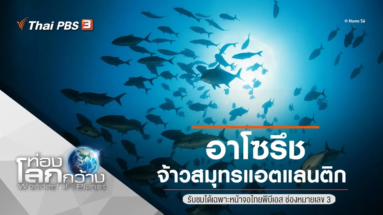 อาโซรึช จ้าวสมุทรแอตแลนติก