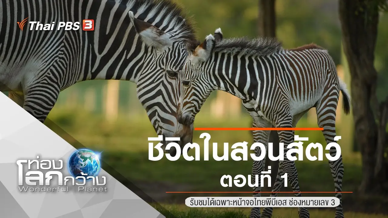 ชีวิตในสวนสัตว์ ตอนที่ 1