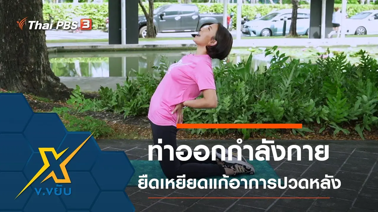 ท่าออกกำลังกายยืดเหยียดแก้อาการปวดหลัง